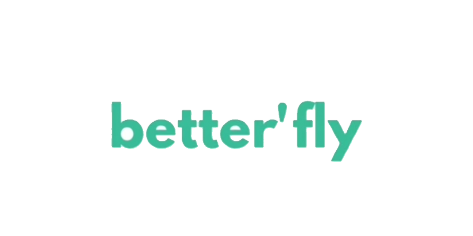 Better Fly